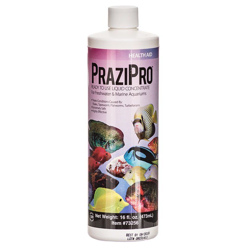 Aquarium Solutions PraziPro