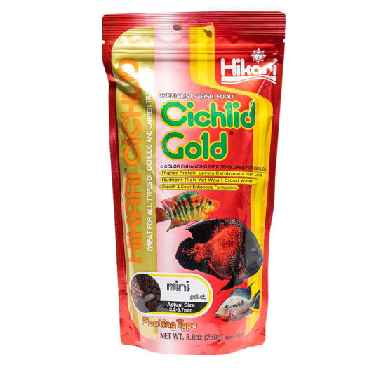 Hikari Cichlid Gold